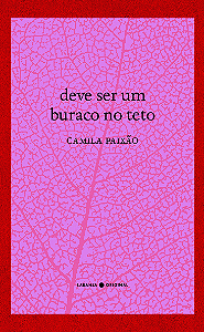 Livro Deve ser um buraco no teto