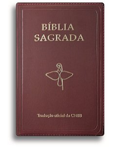 Livro Bíblia Sagrada Capa Com Zíper - Tradução Oficial