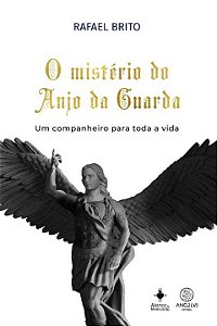 Livro O mistério do anjo da guarda
