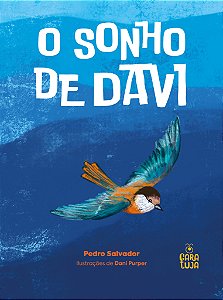 Livro O Sonho De Davi