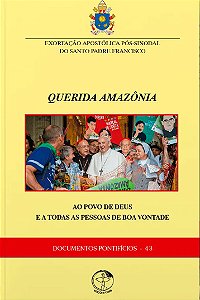 Livro Documentos Pontifícios 43 - Ao Povo De Deus E A Todas As ...