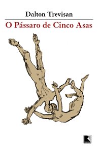 Livro O pássaro de cinco asas