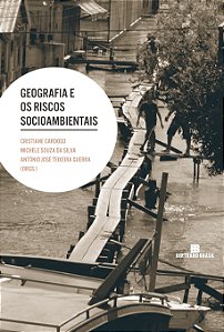 Livro Geografia e os riscos socioambientais