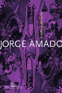 Livro O sumiço da santa