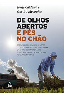Livro De olhos abertos e pés no chão: uma grande epopeia de emp...