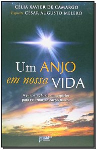 Livro Um anjo em nossa vida