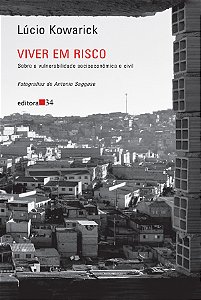 Livro Viver em risco: sobre a vulnerabilidade socioeconôm...