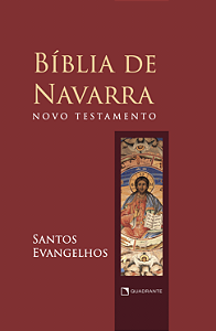 Livro Biblia De Navarra - Novo Testamento: Santos Evange