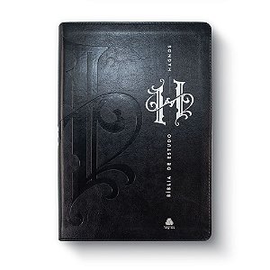 Livro Bíblia de Estudo Hagnos: Notas, comentários e recursos de...