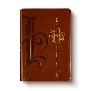 Livro Bíblia de Estudo Hagnos: Notas, comentários e recursos de...