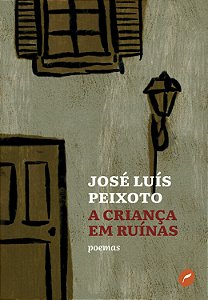 Livro A criança em ruínas