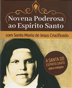 Livro Novena poderosa ao Espírito Santo com Santa Maria d...