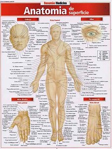 Livro Anatomia de superfície