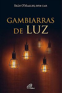 Livro Gambiarras De Luz