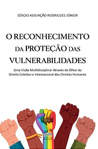 O reconhecimento da proteção das vulnerabilidades