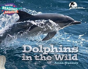 Dolphins In The Wild - 3 Explorers