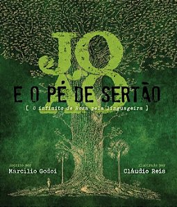 João e o pé de sertão: o infinito de Rosa pela linguageira