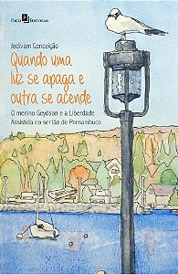 Quando uma luz se apaga e outra se acende: o menino Geydson e a liberdade assistida no sertão de Pernambuco