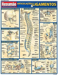 Articulações e ligamentos
