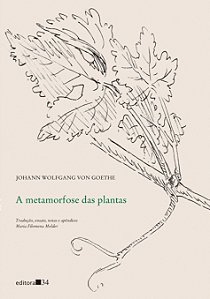 A metamorfose das plantas