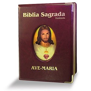 Livro Bíblia ilustrada luxo - grande - marrom