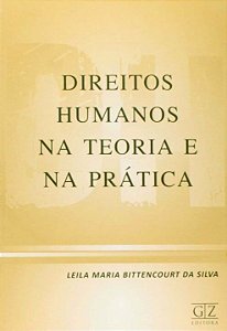 Livro Direitos Humanos Na Teoria E Na Prática