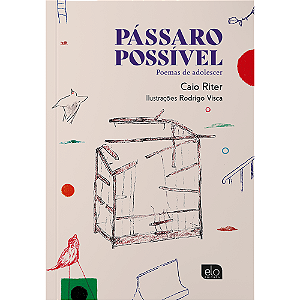 Livro Pássaro Possível: Poemas De Adolescer