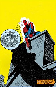 Coleção clássica marvel: nova fase vol. 28 - homem-aranha 15 - a presa do abutre!