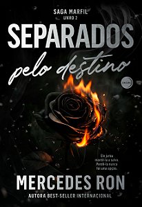 Separados pelo destino (vol. 2 saga marfil)
