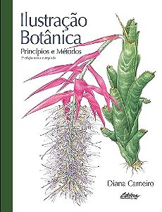 Ilustração botânica: princípios e métodos