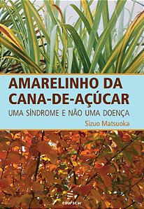 Livro Amarelinho da cana-de-açúcar: uma síndrome e não um...