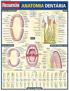 Anatomia Dentaria Resumao - 1