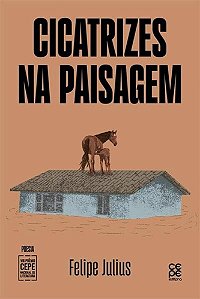 Cicatrizes Na Paisagem