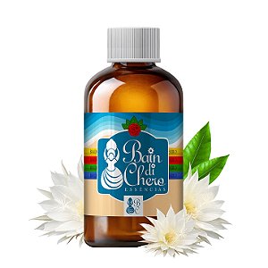Essência Aromática Concentrada Hidrossolúvel (Água) de Dama da Noite