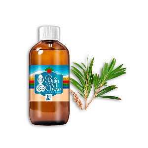 Essência Aromática Concentrada Lipossolúvel (Óleo) de Melaleuca
