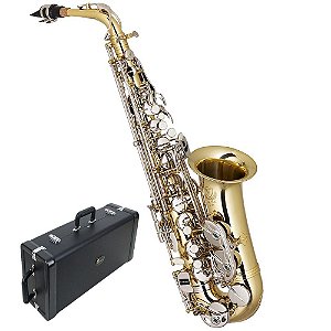 Saxofone Alto Profissional Eagle Sax510 Em Bronze C/ Estojo Com 10