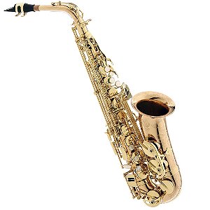 Saxofone Alto Profissional Eagle Sax510 Em Bronze C/ Estojo