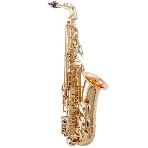 Saxophone Alto Profissional Waldman, Mi Bemol com Case e Acessórios, Molas Blue Steel Mod WSA GD/OL