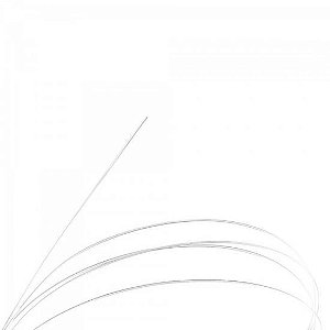 Corda Giannini para Violão Nylon 3ª SOL GENW.3 Série Canário - DZ / 12