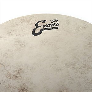 Pele Para Tom E Caixa Calftone 10'' Evans TT10C7