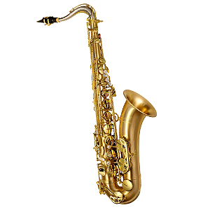 Saxofone Tenor P. Mauriat Le Bravo 200 TGL Gold Lacquer com Tudel Super VI e Campana Gravada à Mão