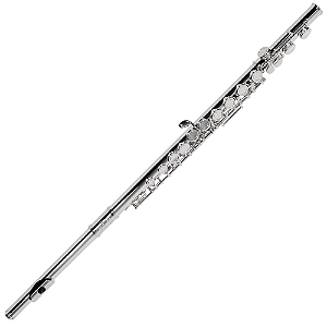 Flauta Transversal Michael WFLM32N Prateada Brilho Equilibrado G Off Set Extensão C Bocal Reto com Case e Acessórios