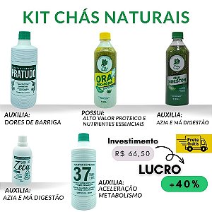 Xarope mega max 420gr - Nathus Brasil - Produtos Naturais