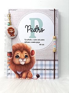 CADERNETA DE VACINAÇÃO MENINO