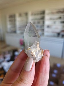 Ponta Quartzo Jardim