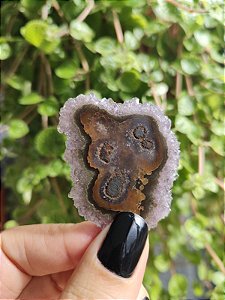 Stalactites - Flor de Ametista