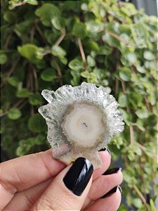 Stalactites - Flor de Ametista