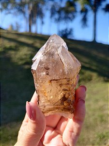 Elestial Fumê Acitrinado