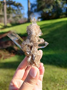 Drusa Fumê Elo do Tempo Isis Extensora