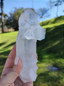 Mestre Ponte Autocurado Gêmeo com Tabular na base